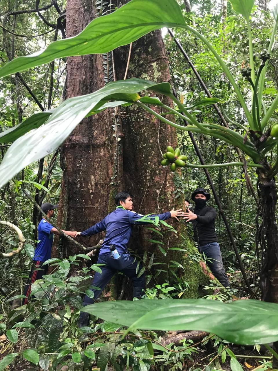 Thansur Tatai Eco Resort エクステリア 写真